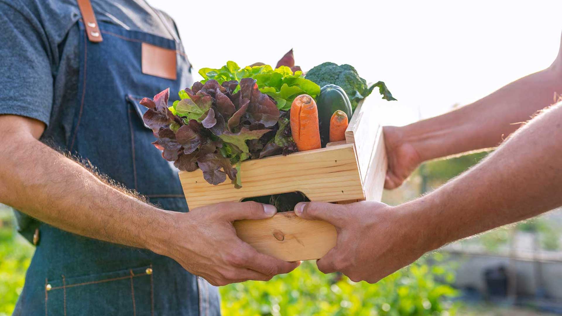 Good Food Loves Company